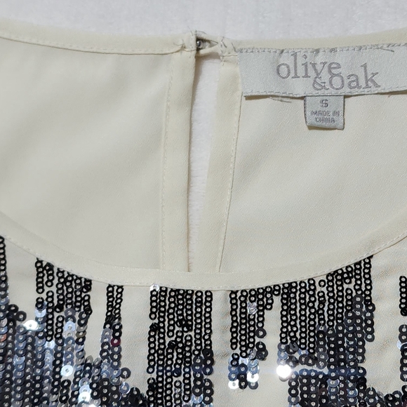 Olive and Oak Cream Color Sleeveless Dressy Top with Silver Sequins Size Small - Picture 5 of 11